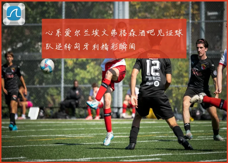 心系爱尔兰埃文弗格森酒吧见证球队逆转匈牙利精彩瞬间