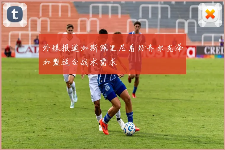 外媒报道加斯佩里尼看好齐尔克泽加盟适合战术需求