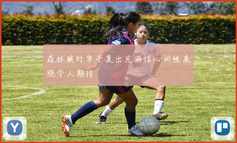 森林狼对华子复出充满信心训练表现令人期待